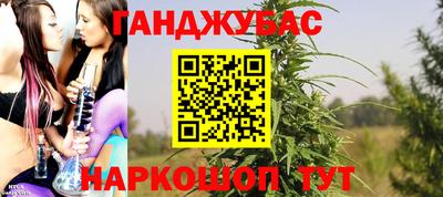 гидра Гай