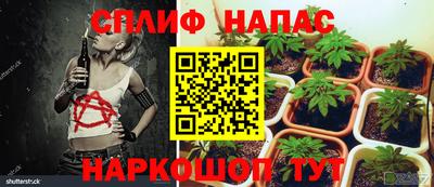 ALPHA-PVP Гатчина