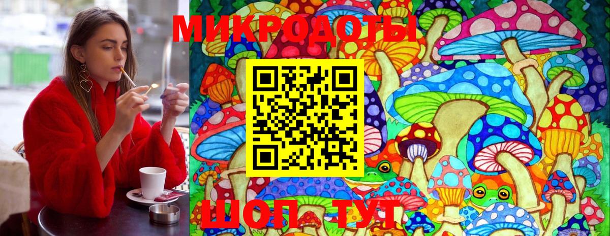 Галлюциногенные грибы Cubensis  Вход с VPN  Магадан  Псилоцибиновые грибы Psilocybe 