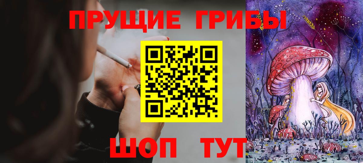 Псилоцибиновые грибы мухоморы Магадан